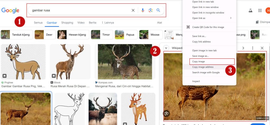 Cara Menambahkan Gambar dari Internet