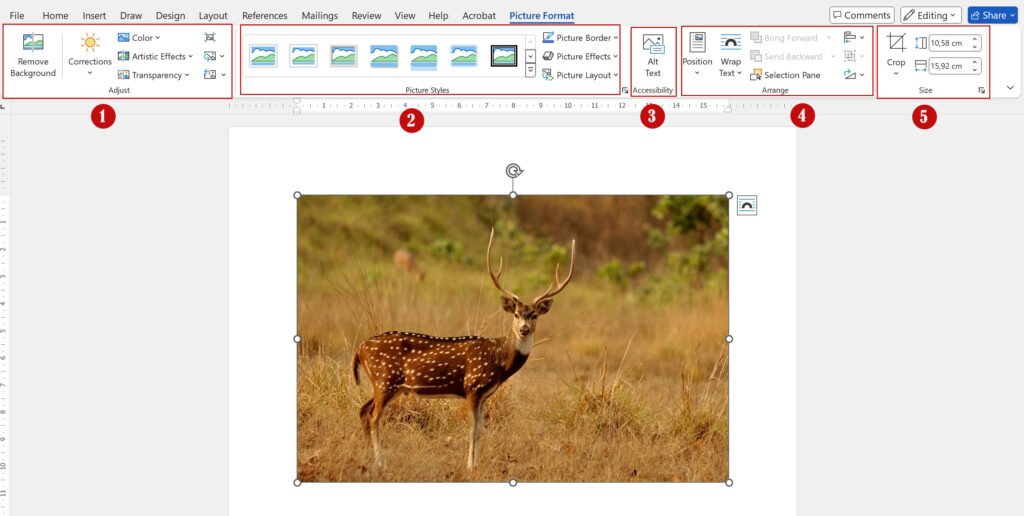 Mengenal Fitur-fitur Group Tab Picture Format