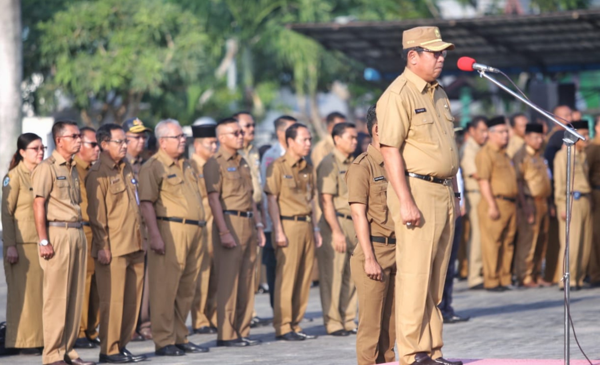 Daftar Gaji PNS Terbaru Tahun 2025 Lengkap Dengan Tunjangannya